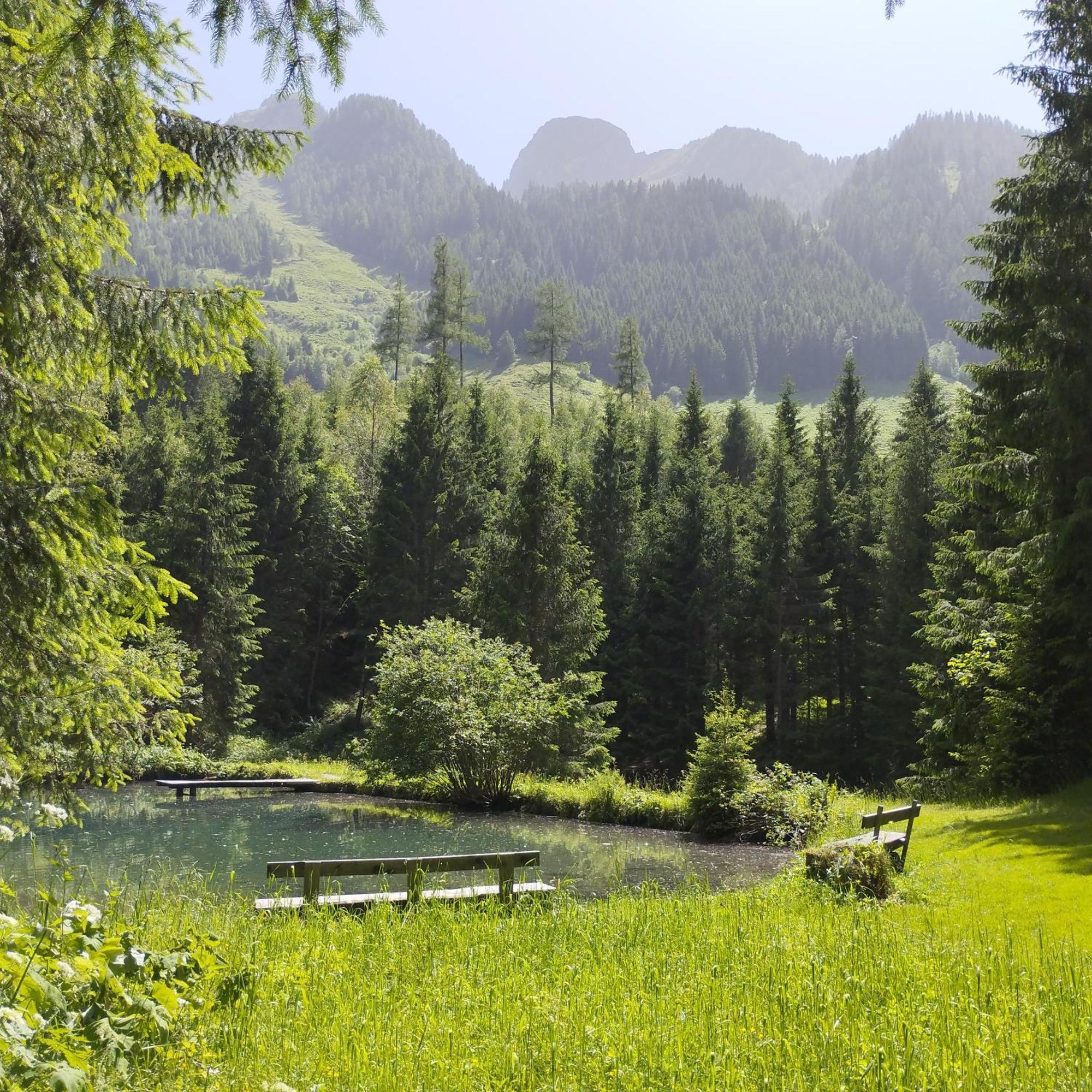Pension Andrea Fusch an der Grossglocknerstrasse Luaran gambar